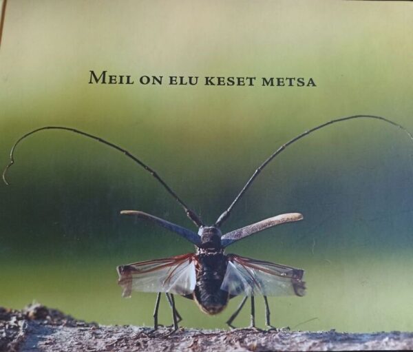 Meil on elu keset metsa